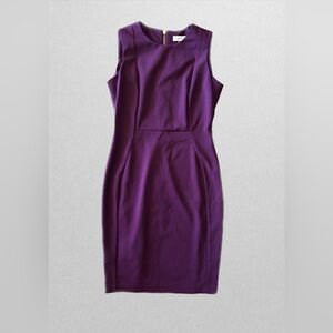 Calvin Klein Plum Purple Sheath Dress - Size 6 - Exposed Gold Zipper